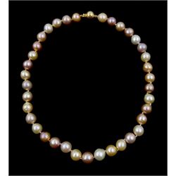 Single strand cultured white, pink and peach pearl necklace, with 9ct gold clasp stamped375