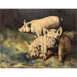 W Harris (British 20th century Naive School): Family of Pigs in a Sty, oil on board signed 34cm x 44cm