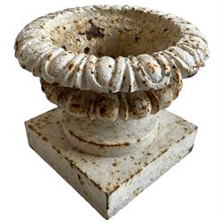 Small 19th century garden urn, egg and dart moulded rim and body, on square base