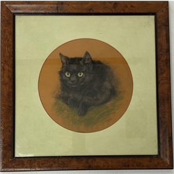 Unsigned circular pastel drawing of a black cat, D30cm