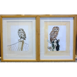 Anne Stothert (British Contemporary): Ornithological Studies, three watercolours, two signed, and a further watercolour of Selby landmarks, max 33cm x 24cm (4)