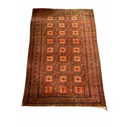 Large Afghan red ground rug with repeating gul motif 380cm x 253cm