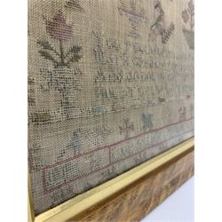Early Victorian needlework sampler by Lois Vary, dated July 21 1843 Aged 13 Years, worked with birds flowers, butterflies, a pair of dogs flanking a house and verse 'You Youthful Maids all in your Prime mark well the Counsel..', in glazed birdseye maple frame with gilt slip, 46cm x 47cm 