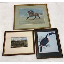 S L Crawford artist signed limited edition print 'Red Rum', number 265/500, Audubon print and a signed photograph