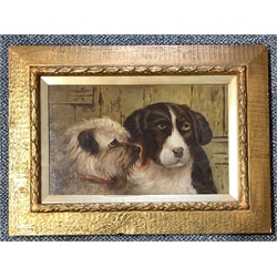 D. Hellewell - Study of two dogs heads, oil on canvas signed, 24cm x 39cm 