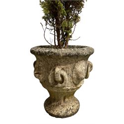 Set of four weathered cast stone urn planters, with lion masks and stone handle decoration
