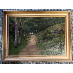 20th century British School, oil on canvas of a woodland path, 31cm x 45cm 