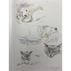 Jill Dickin - Three sketchbooks of her watercolours including animals, architectural, still life etc