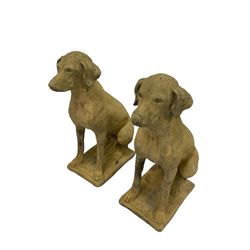Pair composite Pointer hunting dog statues, in seated positions 
