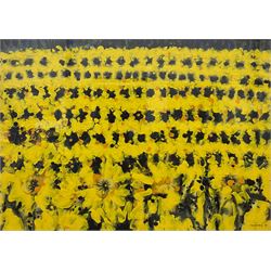Alan Halliday (British 1952-): Yellow Daffodil Composition, acrylic on board signed and dated '83, 58cm x 82cm