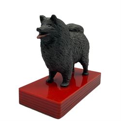 Bronzed model of a Chow Chow on red acrylic base, L13cm