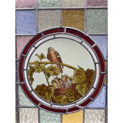 Late Victorian large stained and leaded  glass window panel with a circular centre panel of a bird on a branch in wooden frame 80cm x 90cm 