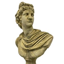 Composite stone classical design bust of Apollo Belvedere, on a Corinthian column pedestal