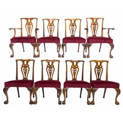 Set eight (6+2) Chippendale style walnut dining chairs, shaped crest rail with carved floral roundels over pierce carved splat, red velvet upholstered seats, raised on leaf carved cabriole supports with ball and claw feet W75cm (max)
