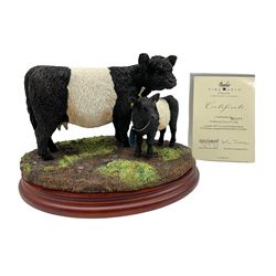 Border Fine Arts Limited Edition Belted Galloway Cow and Calf by Kirsty Armstrong No. 217/500 boxed and with certificate