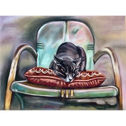 S Doherty (British 20th century): Sleeping Cat, pastel signed together with English School (contemporary): Portrait of a Lady, pastel indistinctly signed max 38cm x 50cm (2)