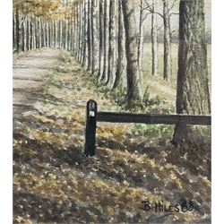 Betty Hiles (British 20th century): Autumn Trees, watercolour signed 40cm x 30cm; Alfred Durham (British early 20th century): Lake Landscape, watercolour signed 26cm x 37cm (2)