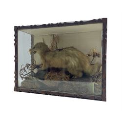 Taxidermy: Cased model of a Mink in naturalistic setting with carved outer frame, L53.5cm, D20cm, H40cm