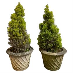 Pair of weathered cast stone garden planters, with lattice decoration