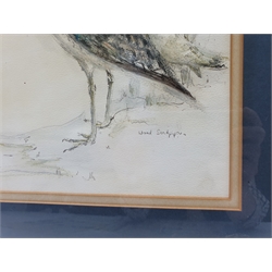 Beth Boyes (British Contemporary): Galloping on the Beach, oil on board signed 29cm x 39cm; 'Wood Sandpiper' and 'Common Tern', pair watercolours unsigned 33cm x 23cm (3)