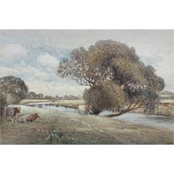 John Pedder (British 1850-1929): Cattle Grazing by a Stream, watercolour signed and dated 1899, 30cm x 45cm 