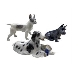 Three Royal Copenhagen porcelain dogs comprising a Setter & Pheasant no. 1533 and Bulldog no. 1457 both designed by Knud Møller and a Scottish Terrier no. 3162 (3)