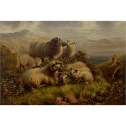 W Thompson (British early 20th century): Rams and Lambs Resting in Moorland Landscape, oil on canvas signed 27cm x 39cm