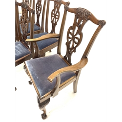 Set eight (6+2) Georgian style mahogany dining chairs, with floral carved cresting rail over pierced splat, drop in seat pads upholstered in blue crushed velvet, raised on cabriole supports terminating in ball and claw feet, W62cm