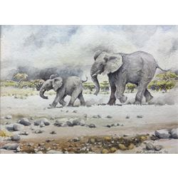 Hans Ulrich (Uli) Aschenborn (South African 1947): Elephants, watercolour signed 34cm x 46cm 