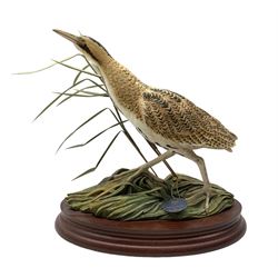 Border Fine Arts limited edition model 'Bittern', model no. B1147, designed by Ray Ayres and signed beneath, no. 109/250, with certificate and original box, H21cm