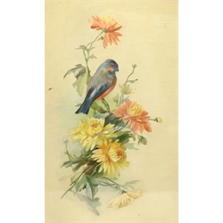 Effie Kathleen Walker (British 1910-2001): Bullfinch Among Flowers, watercolour unsigned, and a further landscape oil by the same hand, max 43cm x 26cm (2)
Provenance: Walker was the vendor's grandmother