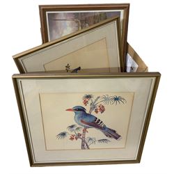 Still life of flowers in gilt frame together with seven other prints to include Chinese watercolours (8)