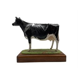 John Harper for Shebeg Pottery, Isle of Man, model of a Friesian Cow on mahogany plinth, Limited edition no. 181/1000 L30cm x H26cm 