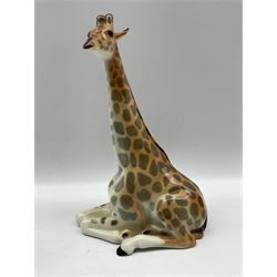 USSR Lomonosov model of resting giraffe pair together with small zebra and 4 other small models max H30cm
