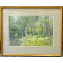 David Jan Curtis (British 1948-): 'Sandal Beat Wood', watercolour signed and dated '81, titled verso with artist's address label 35cm x 50cm