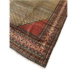 Persian Araak carpet, light ground field decorated with repeating small Boteh motifs, contrasting red ground spandrels, eleven band border decorated with geometric and stylised motifs