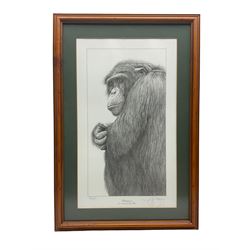 Gary Hodges (British 1954-): 'Chimpanzee', limited edition monochrome print signed and numbered 785/850 in pencil 37cm x 20cm