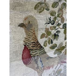 Victorian Berlin work wool picture of a pheasant, standing amongst shrubs and ferns, worked in coloured wools of reds, greens and browns, in glazed gilt frame, 74cm x 62cm 