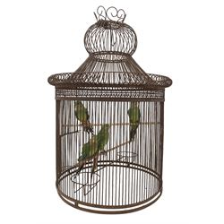 Taxidermy: Green Parakeets (Psittacara holochlorus), Four full mounts perched within a large wirework birdcage, of circular form with swept roof, H97cm x D57cm