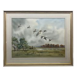 Robert W Milliken (British 1920-2014): Ducks in Flight over Marshland, watercolour signed 54cm x 73cm