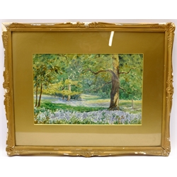 Albert H Poppleton (British exh.1928): Bluebell Meadow, watercolour signed 27cm x 41cm