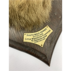 Taxidermy - Fox mask with mouth agape with plaque inscribed 'South Wold Hounds 1930' on oak wall shield H33cm bearing the label of Rowland Ward, Piccadilly, London