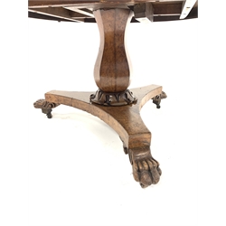 Mid 19th century burr hardwood breakfast table, circular tilt top raised on a panelled baluster pedestal with acanthus leaf carved socle, leading to a trefoil base with paw feet and castors