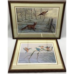 Robert E Fuller (British 1972-): Fox Chasing a Pheasant and Kingfishers, two limited edition colour prints signed and numbered in pencil max 40cm x 58cm (2)