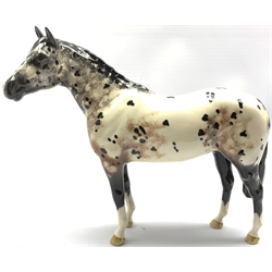 Beswick model of an Appaloosa stallion No. 1772