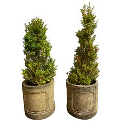 Pair of cast stone cylindrical planters, with ribbon-twist decoration