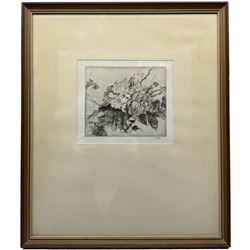 Anna Airy (British 1882-1964): 'Roses on a Plaster Wall', etching signed in pencil, labelled verso 15cm x 18cm