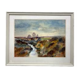 F Grayson (British 20th century): 'Partridge Hill Goathland', watercolour signed, inscribed and dated 1979 verso 27cm x 36cm