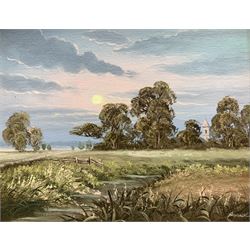 Edgar (British 20th century): 'Pheasants in Flight', oil on board signed together with Bryceil (British 20th century): 'Evening on the Meadow', oil on board signed, housed in matching gilt frames each 20cm x 25cm (2)