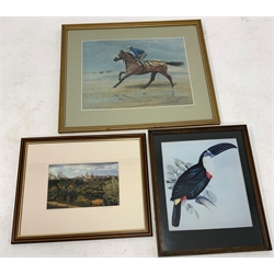 S L Crawford artist signed limited edition print 'Red Rum', number 265/500, Audubon print and a signed photograph